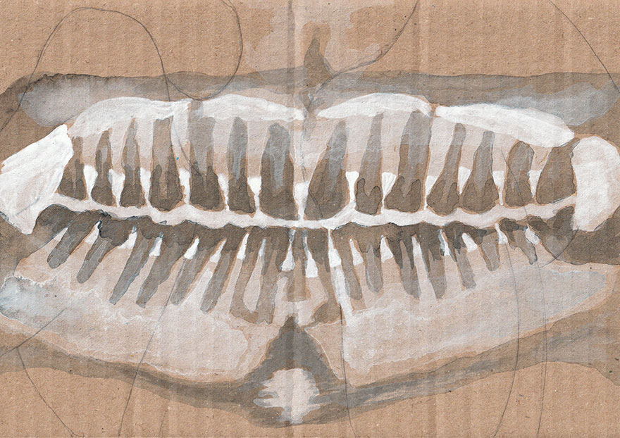 2.0 Kreative Bildideen in A5