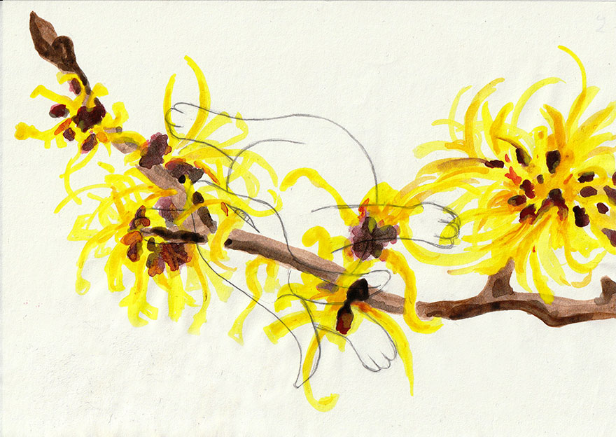 2.0 Kreative Bildideen in A5