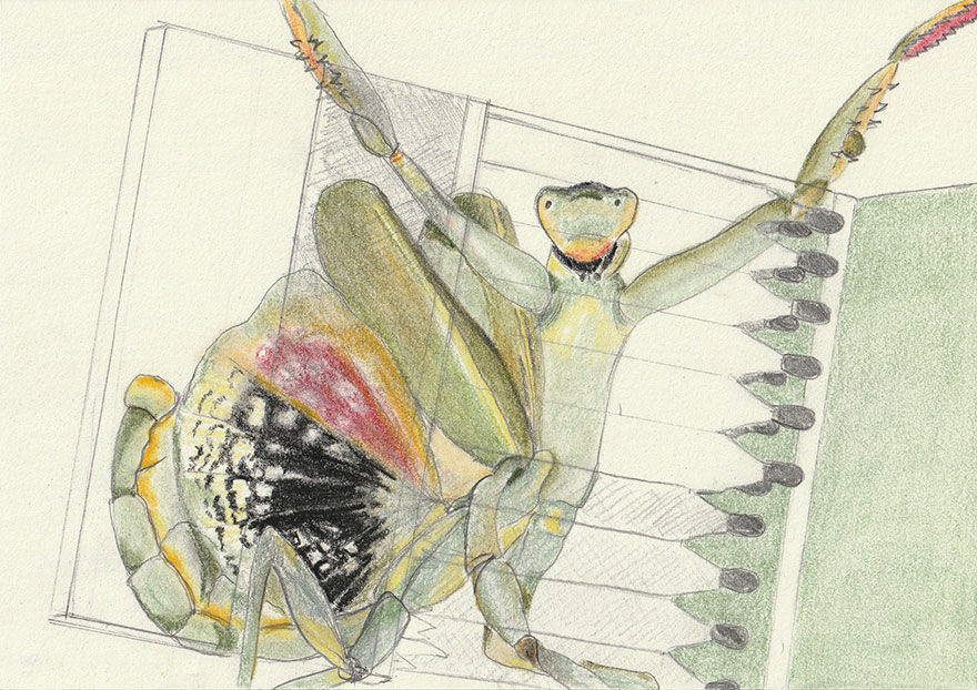 2.0 Kreative Bildideen in A5