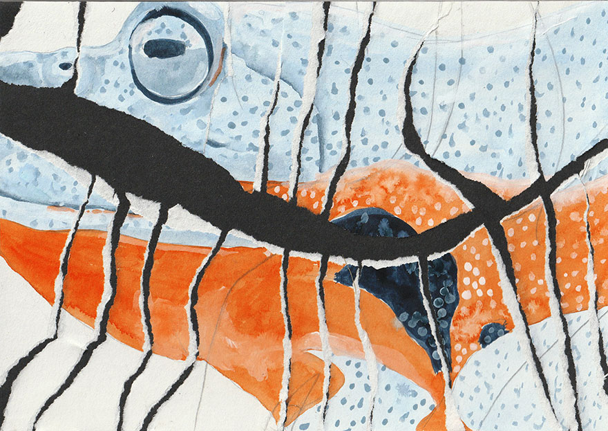 2.0 Kreative Bildideen in A5