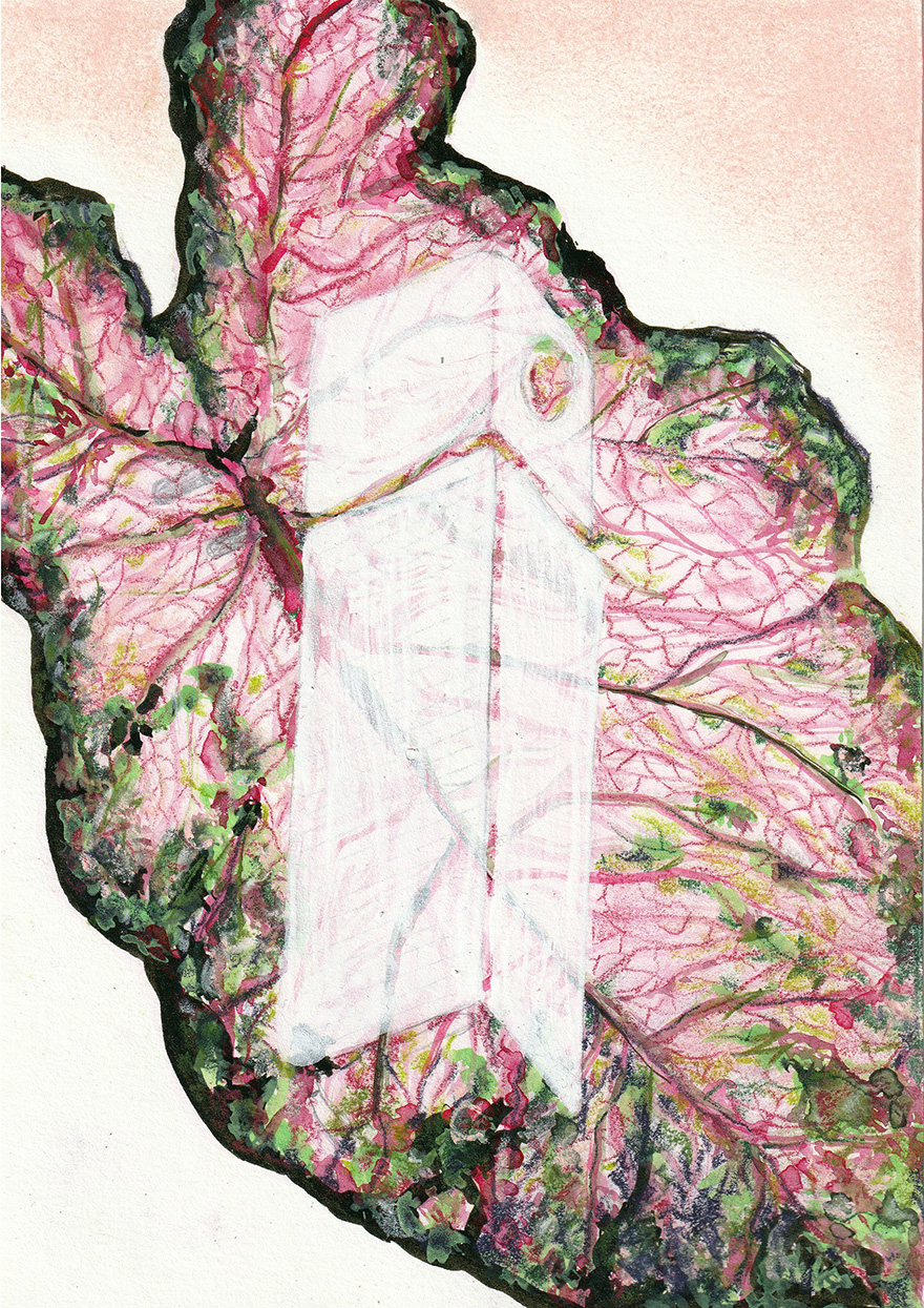 2.0 Kreative Bildideen in A5