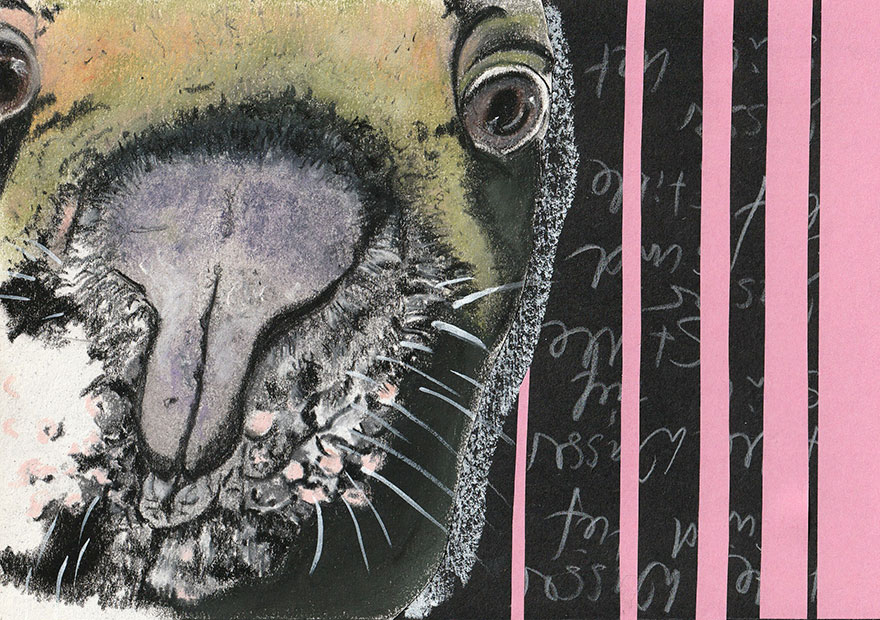 2.0 Kreative Bildideen in A5