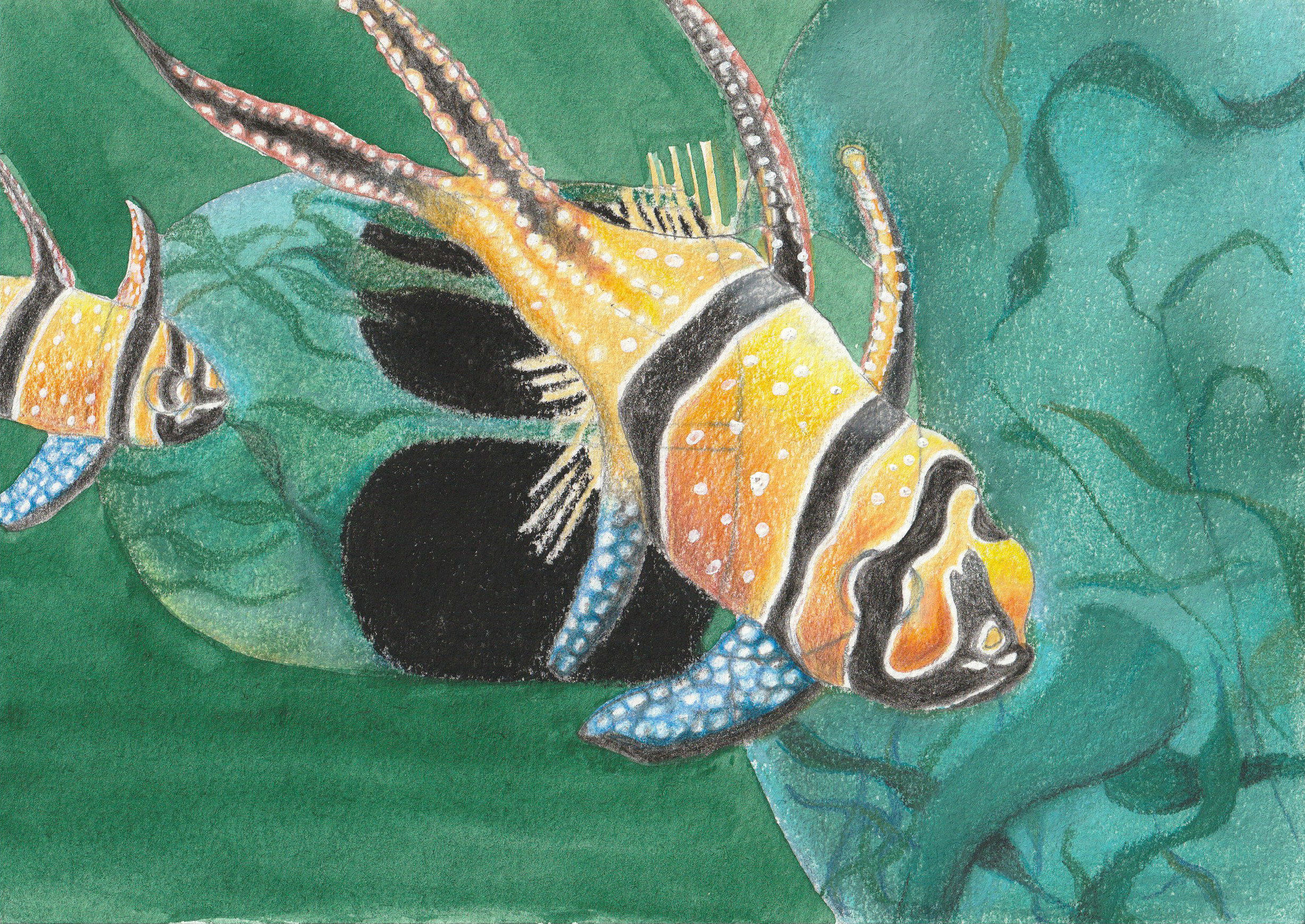 2.0 Kreative Bildideen in A5