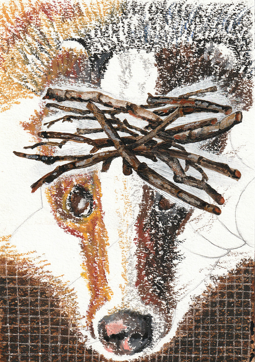 2.0 Kreative Bildideen in A5