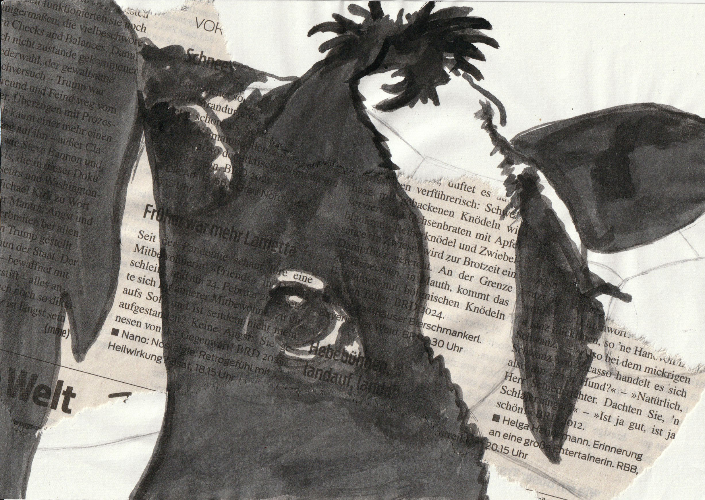 2.0 Kreative Bildideen in A5