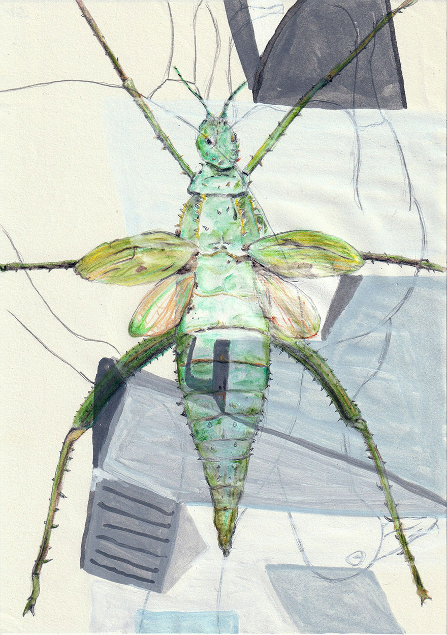 2.0 Kreative Bildideen in A5